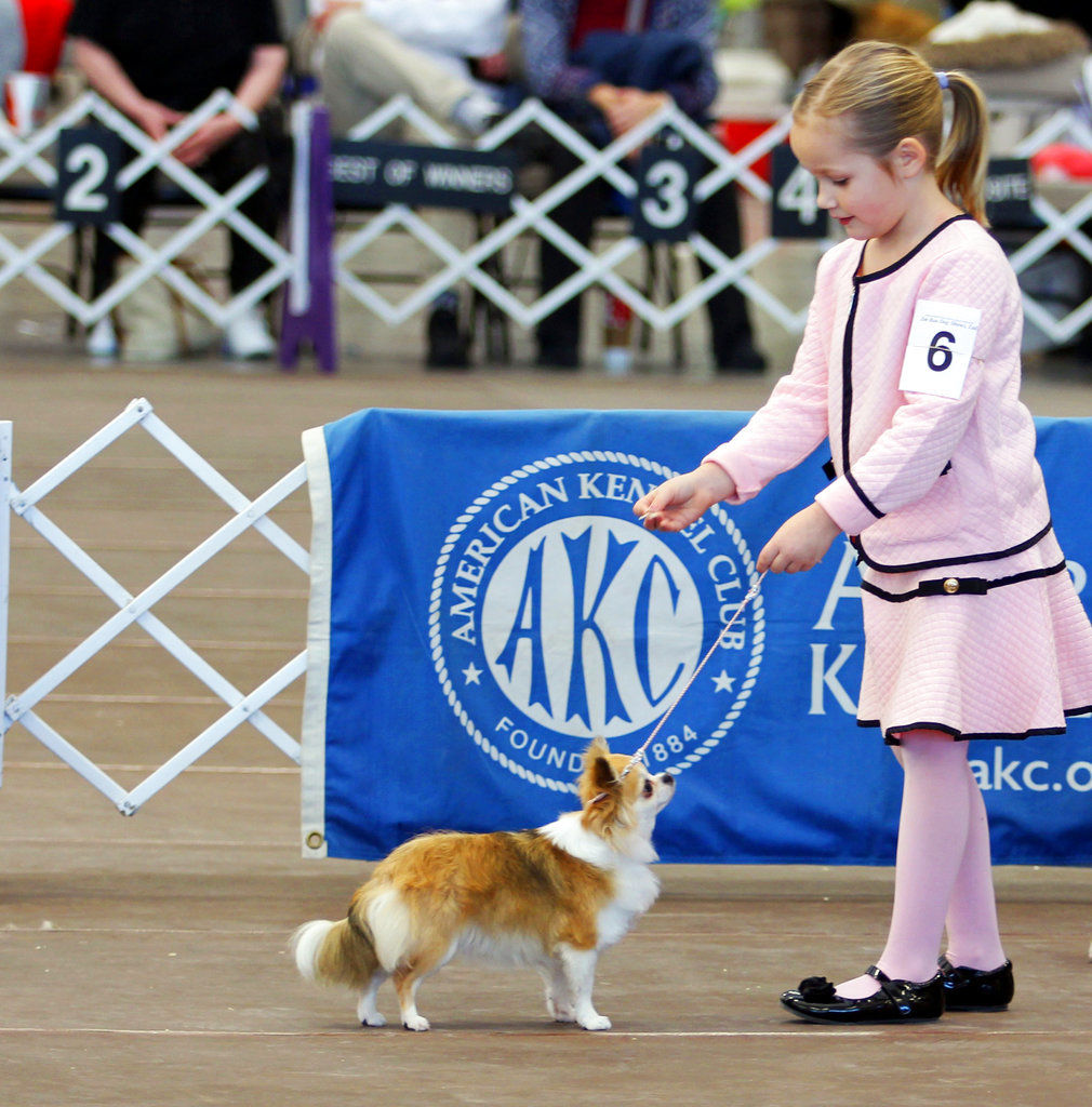 Westminster Dog Show Young Handlers